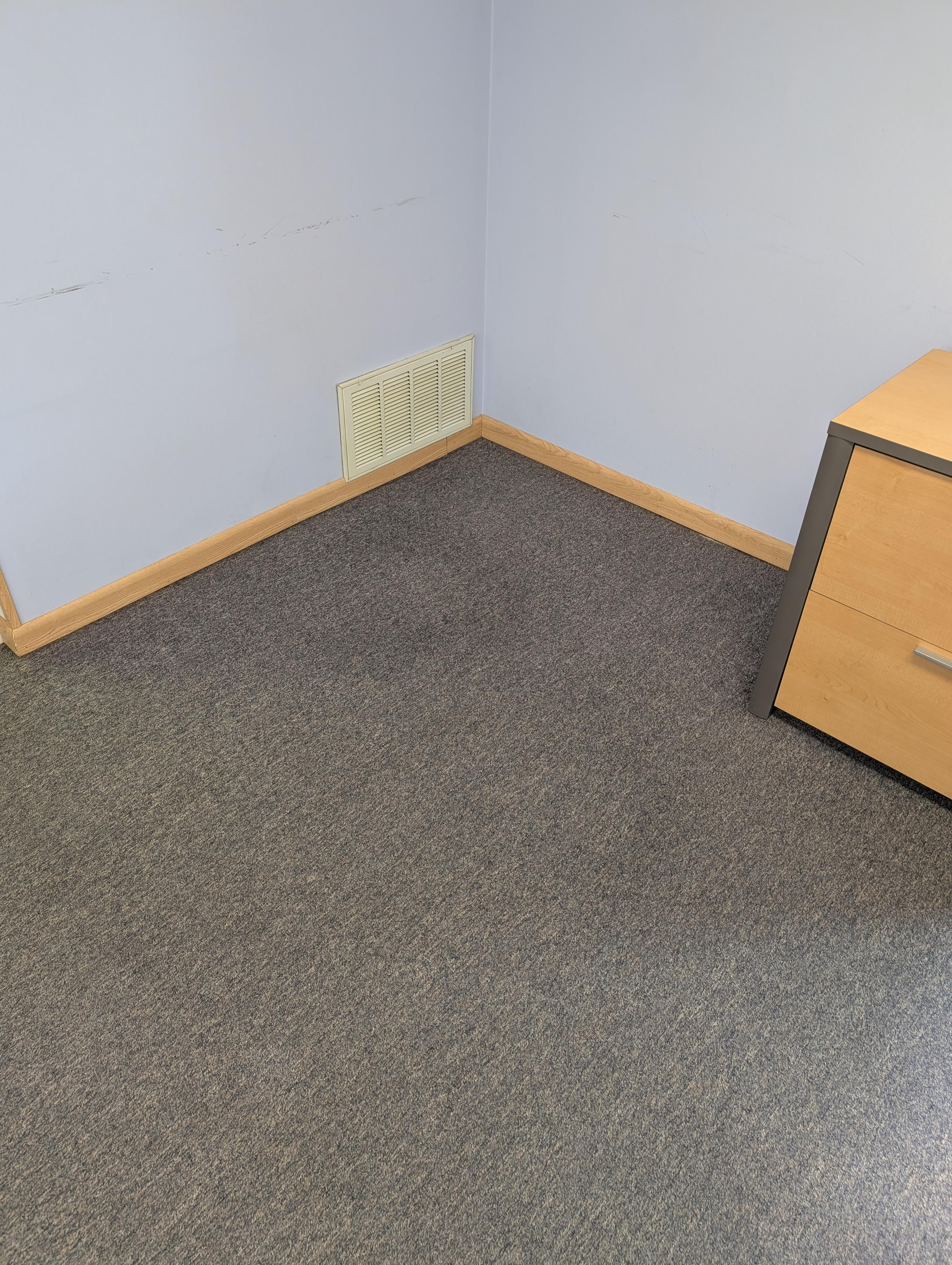 Same office carpet in Bloomington, IN after Cobalt Carpet Cleaning's hot water extraction service