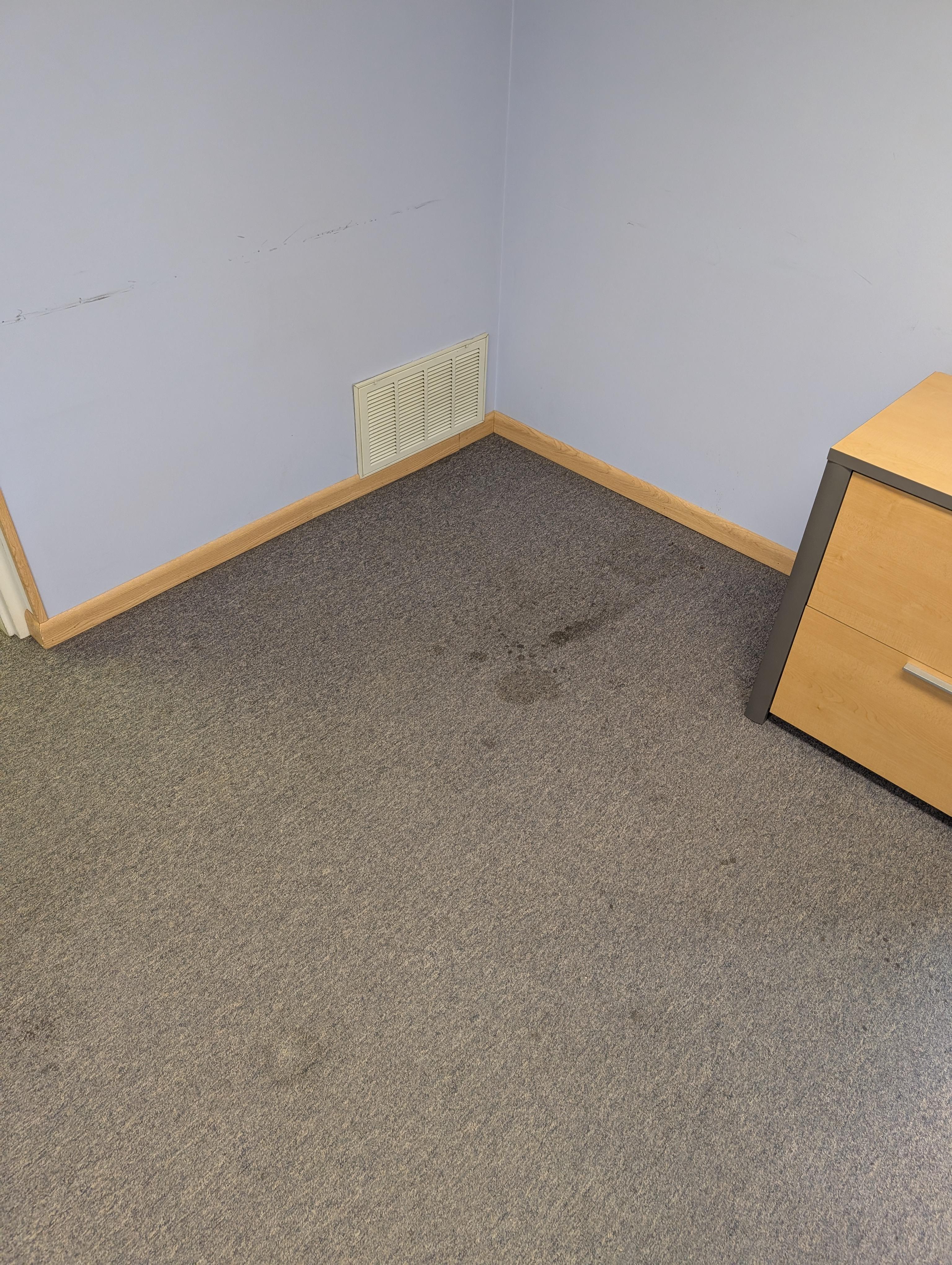 Office carpet in Bloomington, IN before professional cleaning, showing dirt and stains